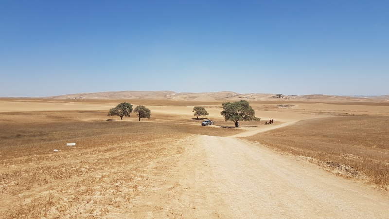 קובץ:2018.08.17-141614.809.android.jpg