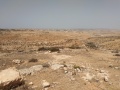 תמונה ממוזערת לגרסה מתאריך 00:33, 4 בספטמבר 2018