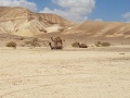 תמונה ממוזערת לגרסה מתאריך 03:05, 11 באוקטובר 2018