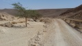 תמונה ממוזערת לגרסה מתאריך 02:18, 21 בספטמבר 2018