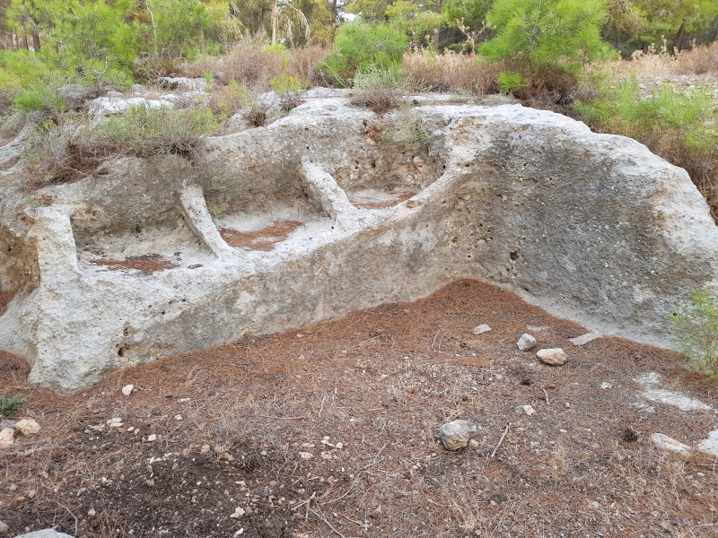 קובץ:2018.10.19-085622.792.android.jpg