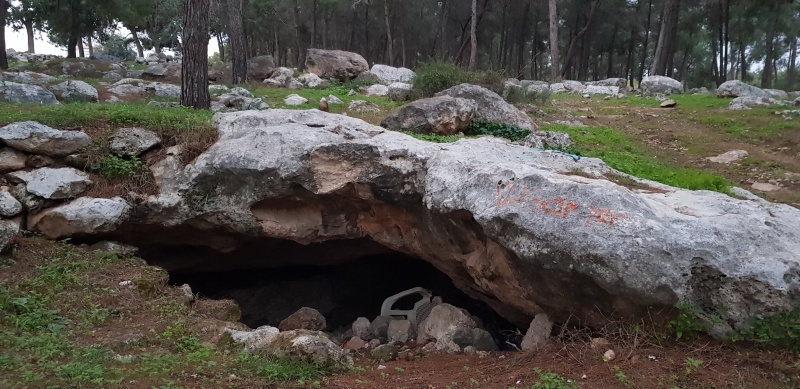 קובץ:2018.12.03-071602.505.android.jpg