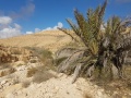 תמונה ממוזערת לגרסה מתאריך 21:14, 18 בינואר 2019