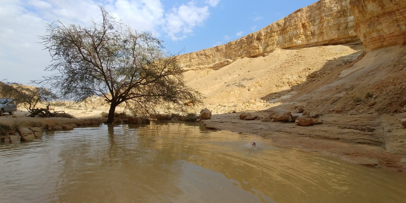 קובץ:20180428 161355.jpg