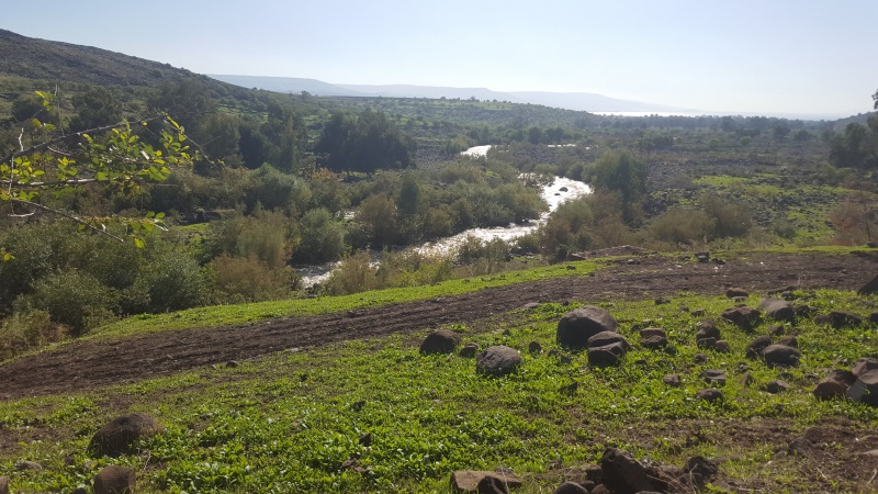 קובץ:20181214 105911.jpg