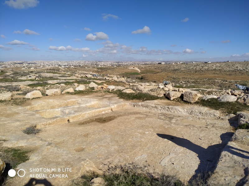 קובץ:2019.01.08-111558.533.android.jpg