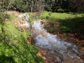 תמונה ממוזערת לגרסה מתאריך 22:13, 3 בפברואר 2019