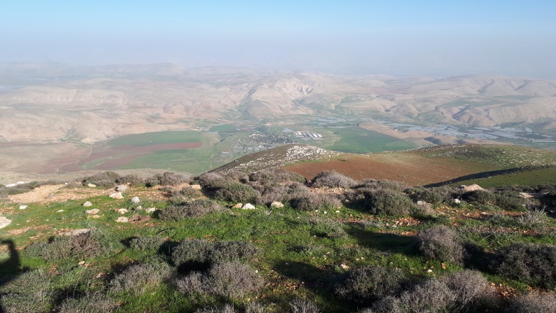 קובץ:2019.01.11-154806.296.android.jpg