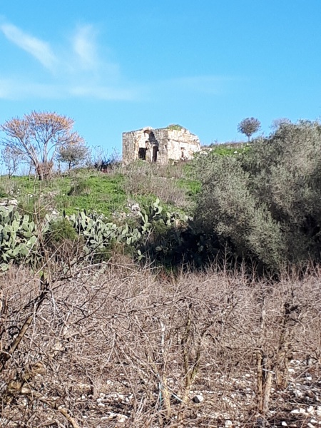 קובץ:2019.01.19-152512.203.android.jpg