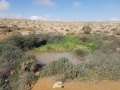 תמונה ממוזערת לגרסה מתאריך 11:36, 1 באפריל 2019