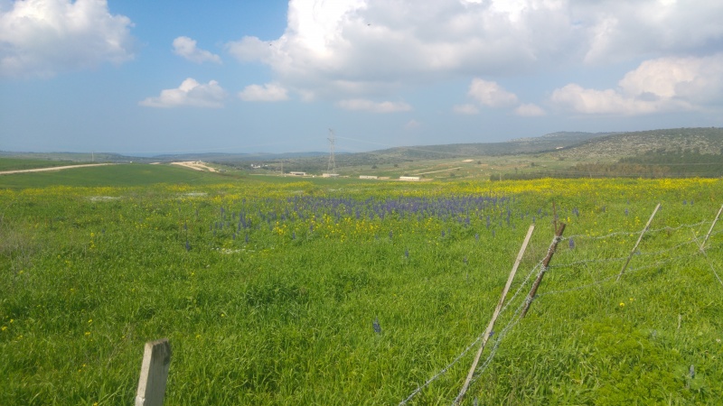 קובץ:2019.02.22-114652.144.android.jpg