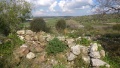 תמונה ממוזערת לגרסה מתאריך 08:37, 26 באפריל 2019