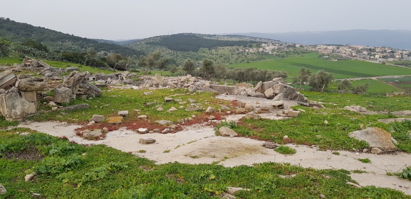 קובץ:2019.02.26-073040.972.android.jpg