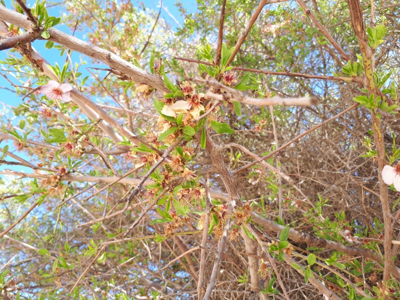 קובץ:2019.03.08-155344.429.android.jpg