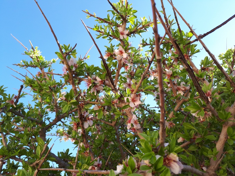 קובץ:2019.03.08-155712.681.android.jpg