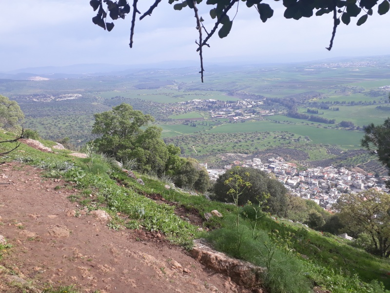 קובץ:2019.03.13-092920.781.android.jpg