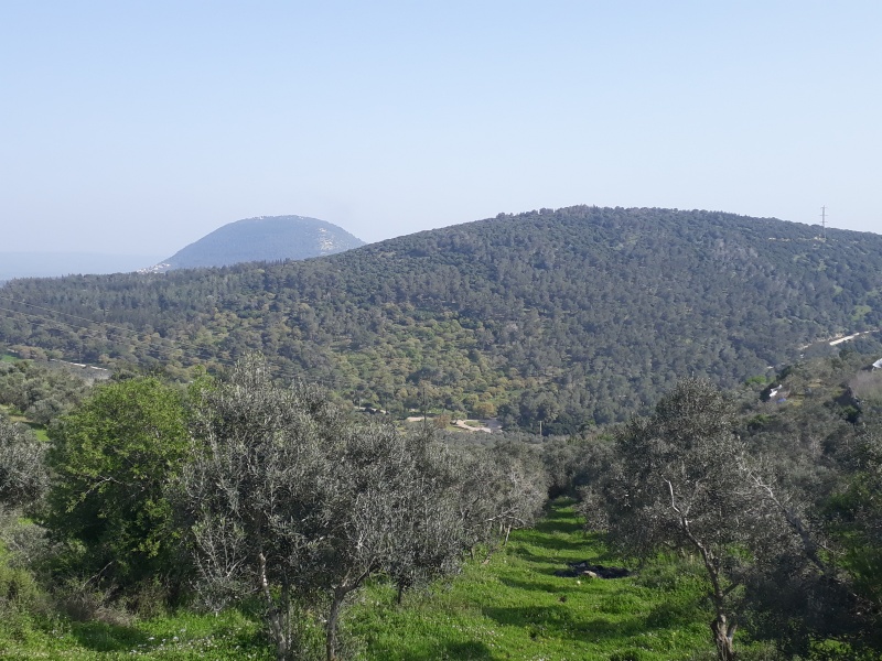 קובץ:2019.03.13-154230.790.android.jpg