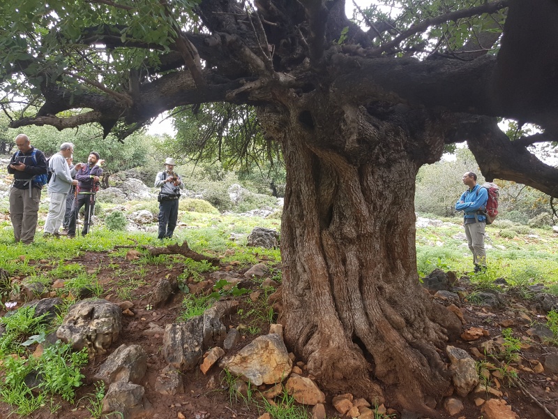 קובץ:2019.03.15-095644.352.android.jpg