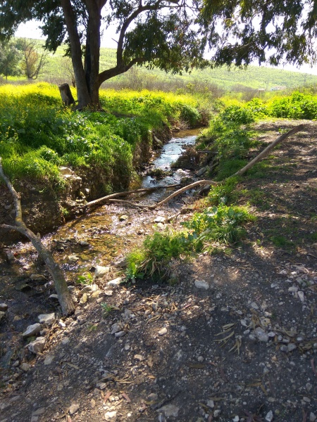 קובץ:2019.03.15-150136.082.android.jpg