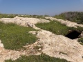 תמונה ממוזערת לגרסה מתאריך 11:00, 3 באפריל 2019