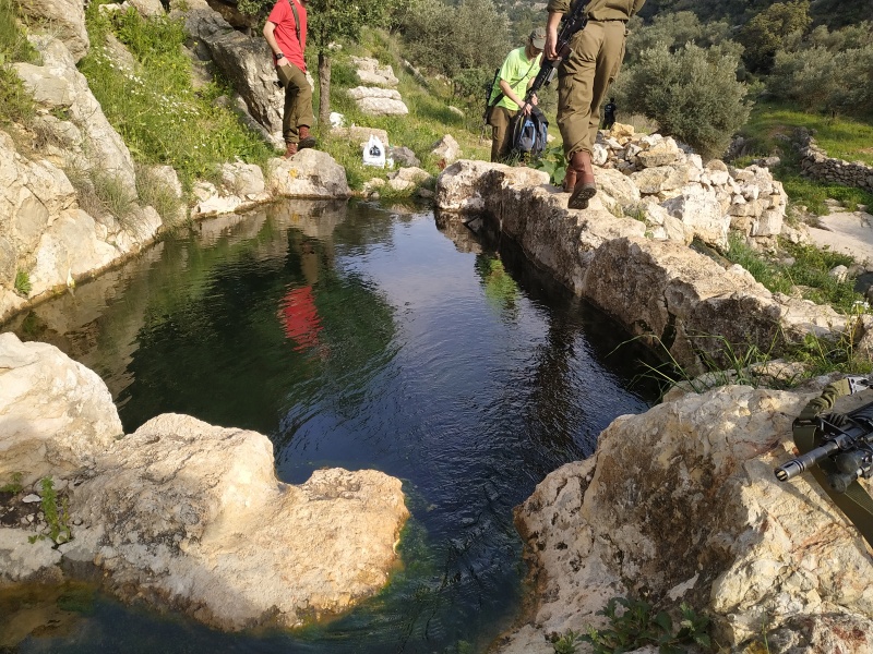 קובץ:2019.04.03-175740.568.android.jpg