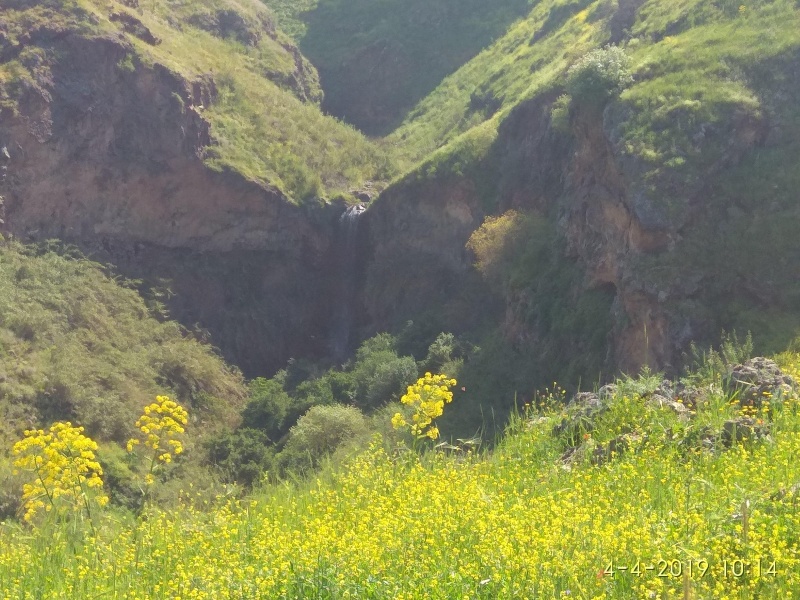 קובץ:2019.04.04-111552.548.android.jpg