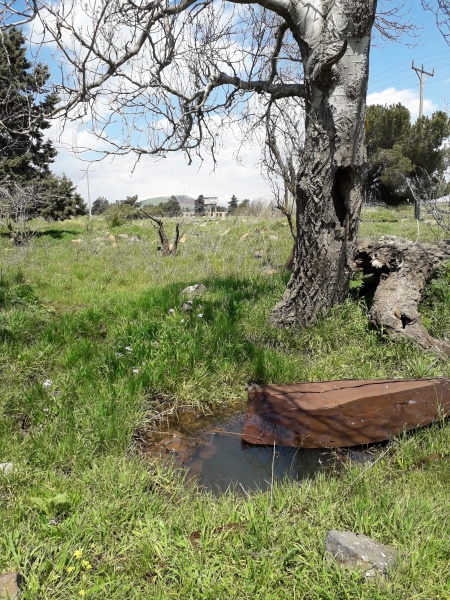 קובץ:2019.04.04-135049.085.android.jpg