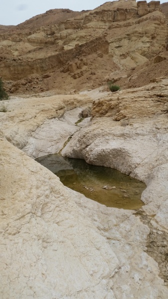 קובץ:2019.04.08-133029.266.android.jpg