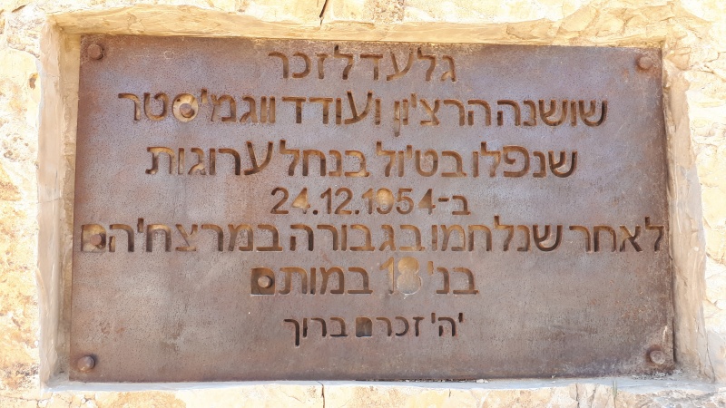 קובץ:2019.04.13-141156.417.android.jpg