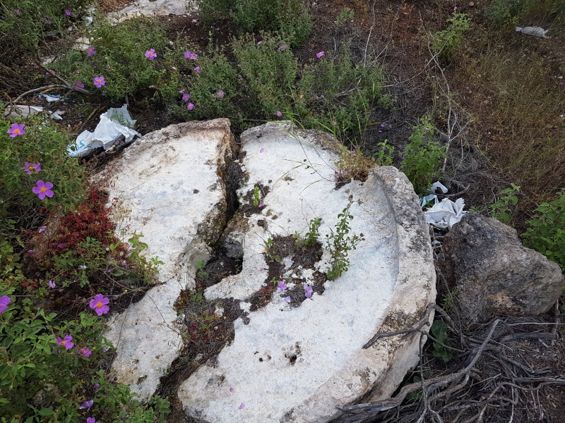 קובץ:2019.04.17-110357.065.android.jpg