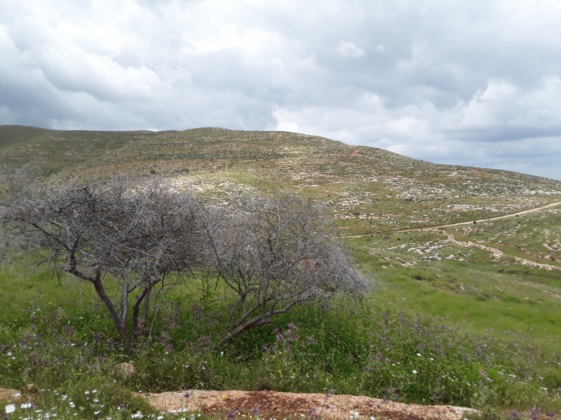 קובץ:2019.04.22-140958.638.android.jpg