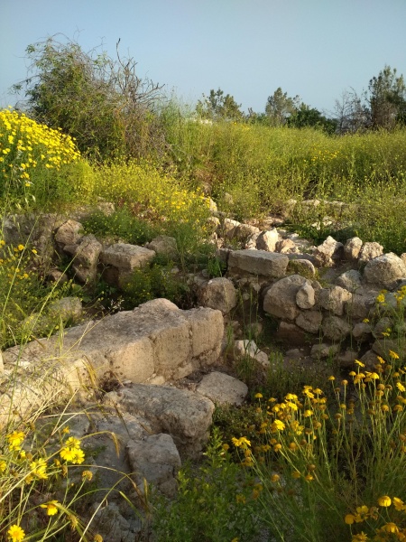 קובץ:2019.04.23-183215.593.android.jpg