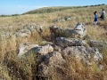 תמונה ממוזערת לגרסה מתאריך 07:25, 9 במאי 2019