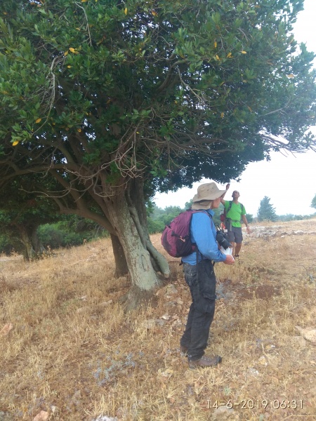 קובץ:2019.06.14-073230.337.android.jpg