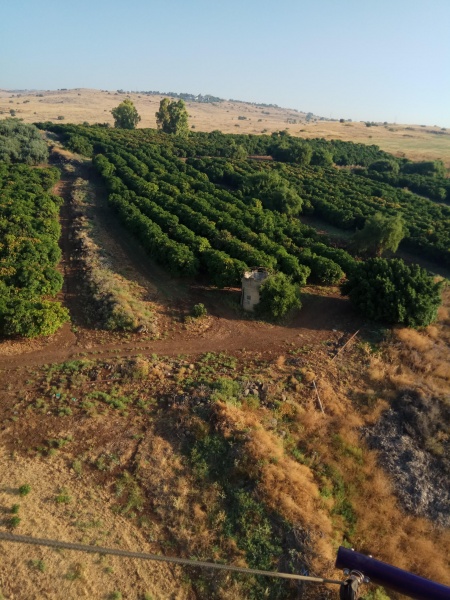 קובץ:2019.06.21-075825.545.android.jpg