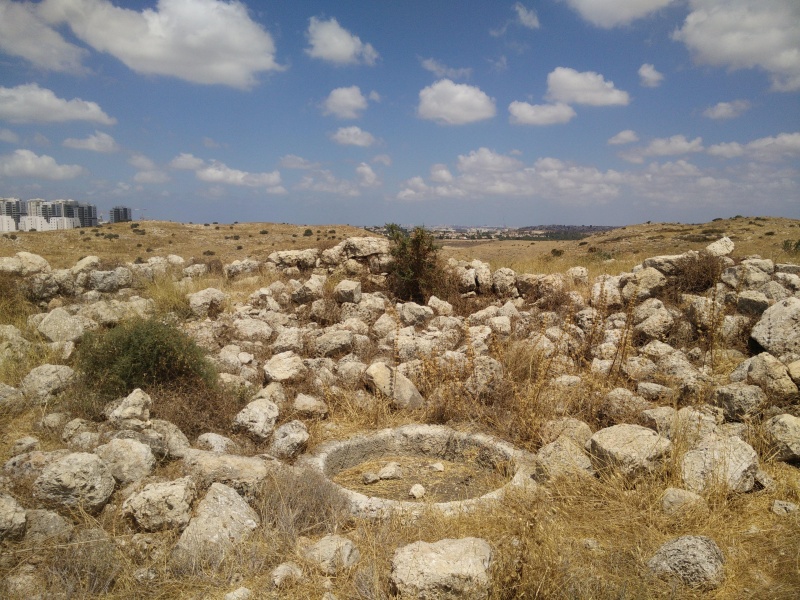 קובץ:2019.07.13-122325.513.android.jpg