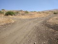 תמונה ממוזערת לגרסה מתאריך 14:52, 5 באוקטובר 2019