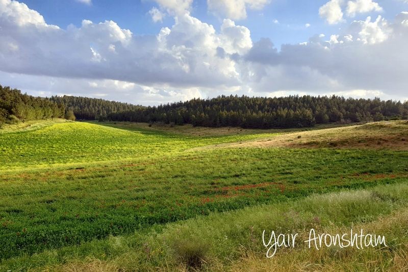 קובץ:20190421 Adulam.jpg