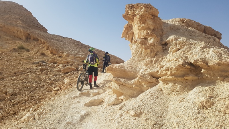 קובץ:20191213 102030.jpg