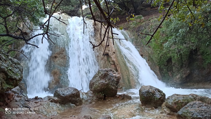 קובץ:2020-01-11T16 36 29.08361240014.jpg