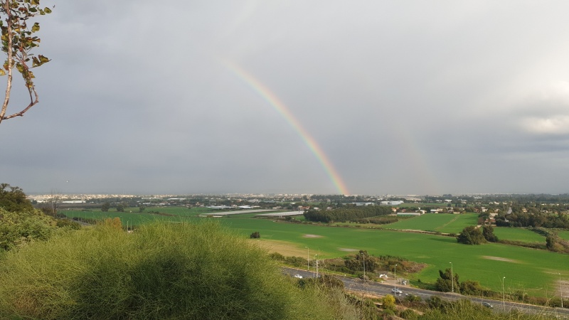 קובץ:2020-01-21T15 28 08.37636485983.jpg