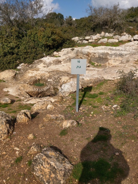 קובץ:2020-01-30T13 59 09.165279162255.jpg