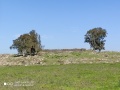 תמונה ממוזערת לגרסה מתאריך 11:10, 15 בפברואר 2020