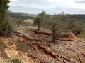 תמונה ממוזערת לגרסה מתאריך 11:00, 6 במרץ 2020