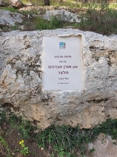 קובץ:2020-03-11T14 29 48.957688425890.jpg