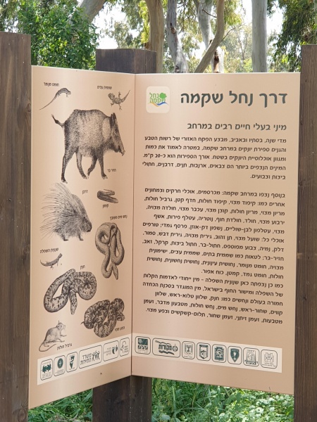 קובץ:2020-04-20T13 23 42.445274789889.jpg