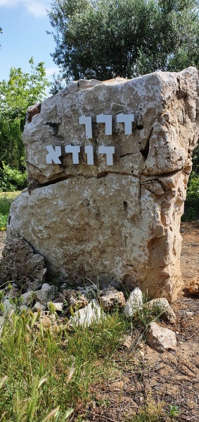 קובץ:2020-05-02T09 43 36.531117717994.jpg