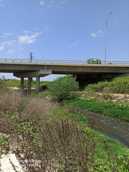 קובץ:2020-05-09T12 44 27.61133894604.jpg