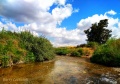 תמונה ממוזערת לגרסה מתאריך 03:35, 12 במאי 2020