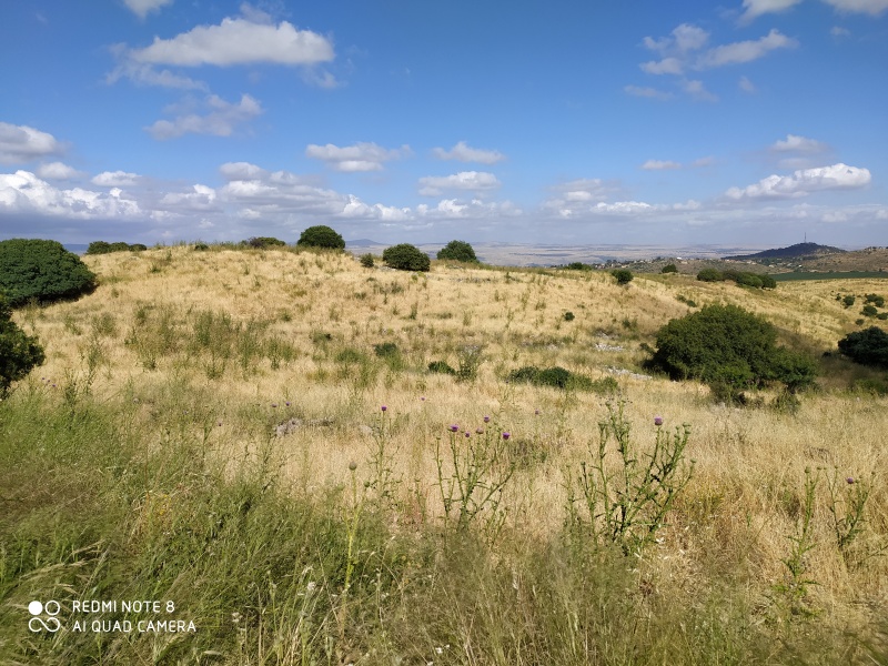 קובץ:2020-05-23T16 18 01.797302829997.jpg